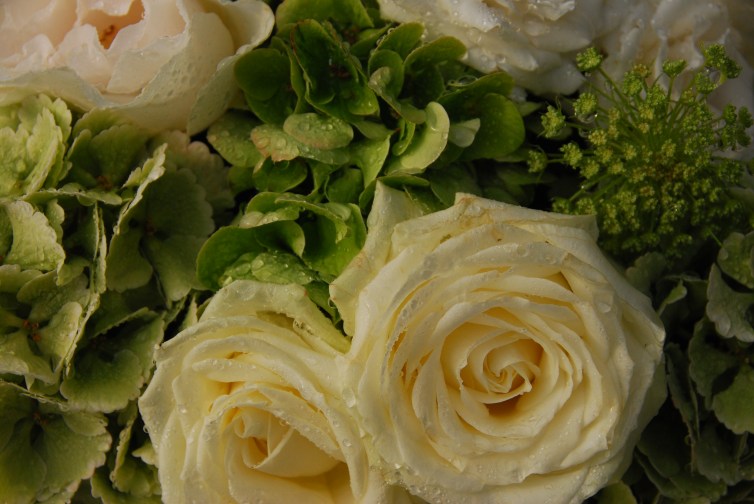 Cotswold Mornings at Barnsley House www.bluemesablog.com