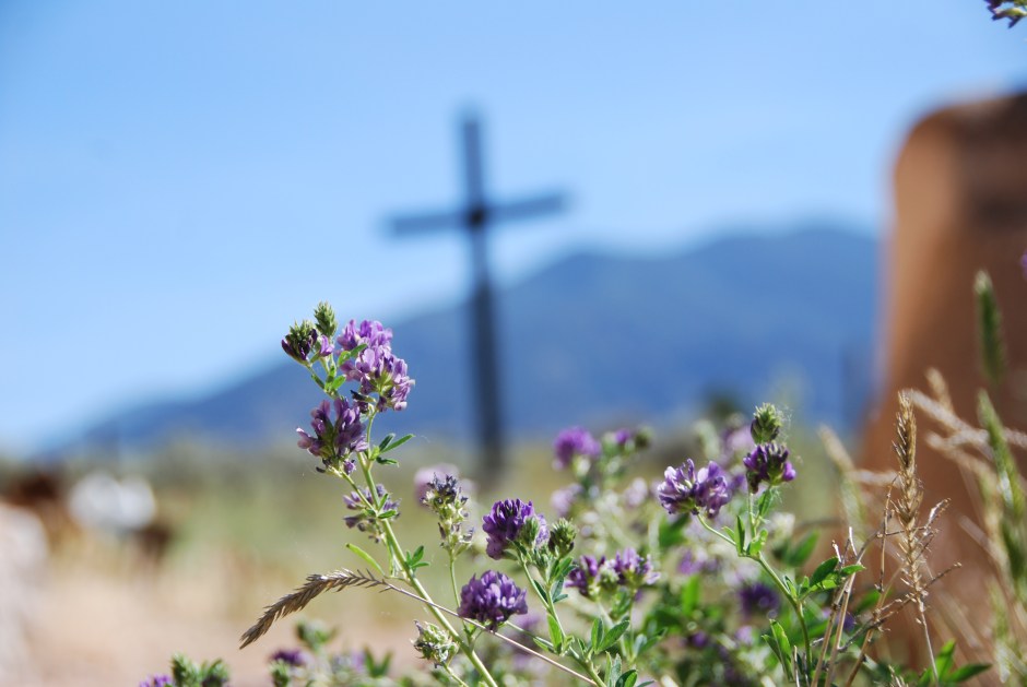 New Mexico www.bluemesablog.com