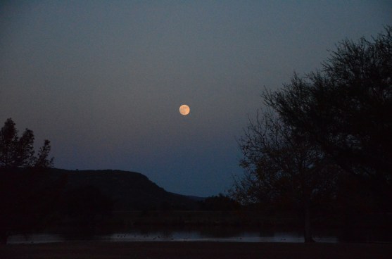 The River, Cicadas and Lucinda www.bluemesablog.com