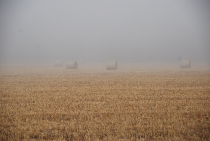 Southern Gothic www.bluemesablog.com