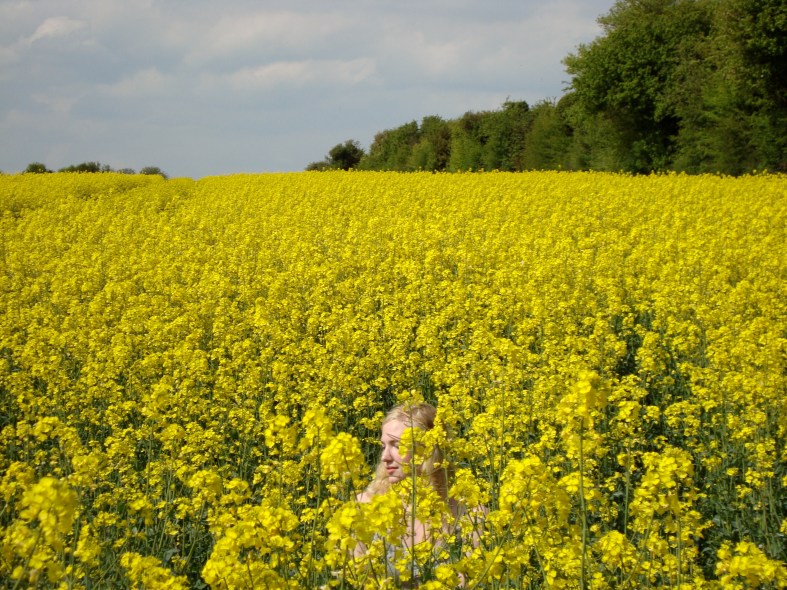 Wayland's Smithy, England www.bluemesablog.com