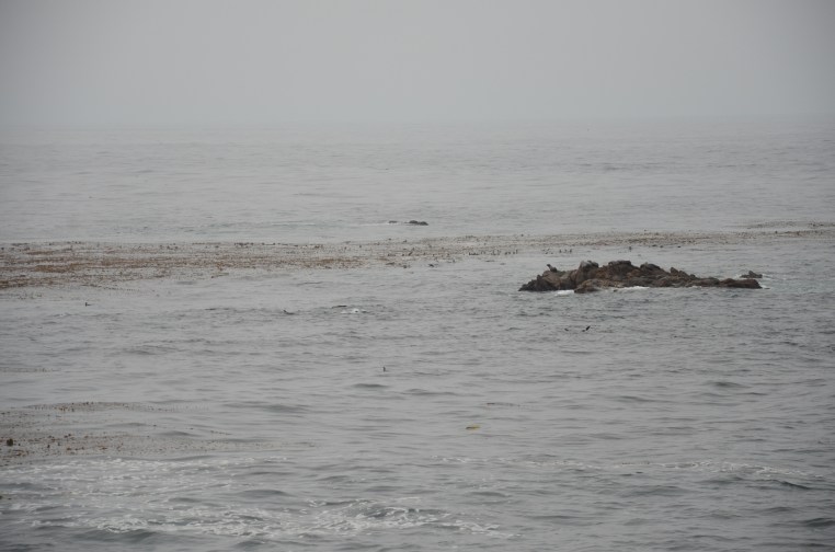 Rocks and Water, Point Lobos National Park www.bluemesablog.com