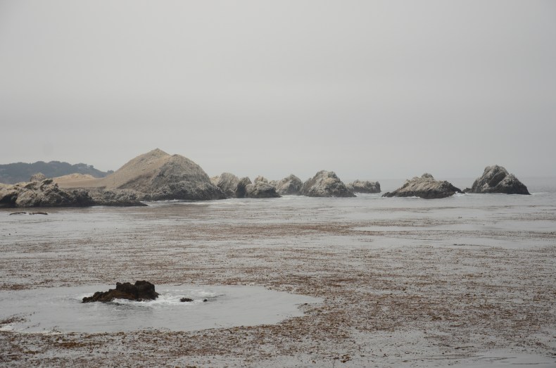 Rocks and Water, Point Lobos National Park www.bluemesablog.com