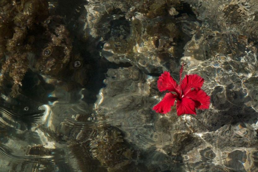 Virgin Islands, Caribbean www.bluemesablog.com