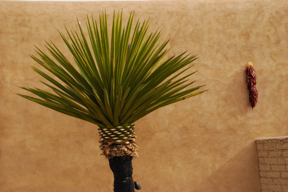 The Gage, Marathon, Texas www.bluemesablog.com