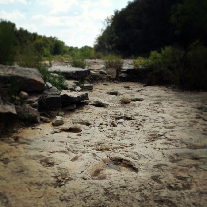 Glen Rose dinosaur tracks www.bluemesablog.com