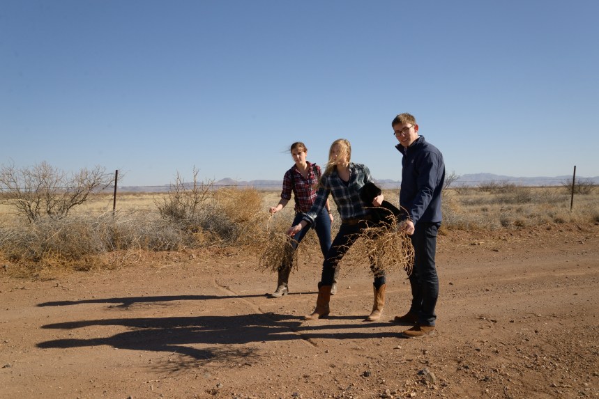 West Texas Tumbleweed Raches, Prada Marfa www.bluemesablog.com