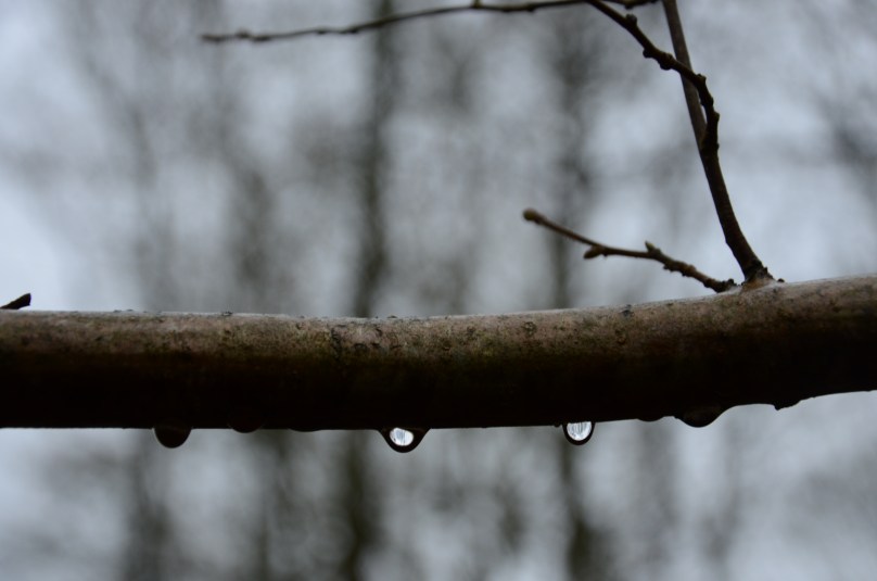 An English Walk in Winter www.bluemesablog.com