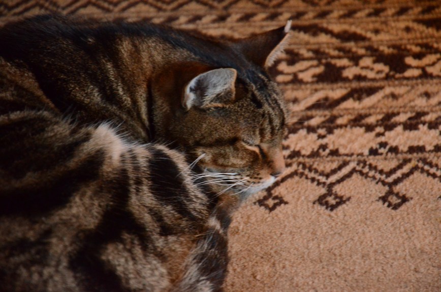 The Country Cottage, England www.bluemesablog.com