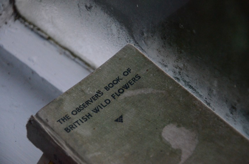 The Country Cottage, England www.bluemesablog.com