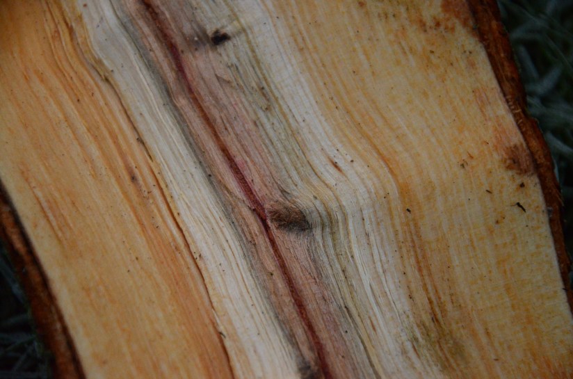 The Country Cottage, England www.bluemesablog.com