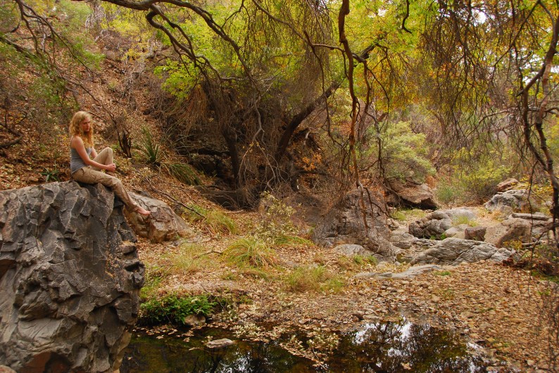 Waterfall, Big Bend National Park www.bluemesablog.com