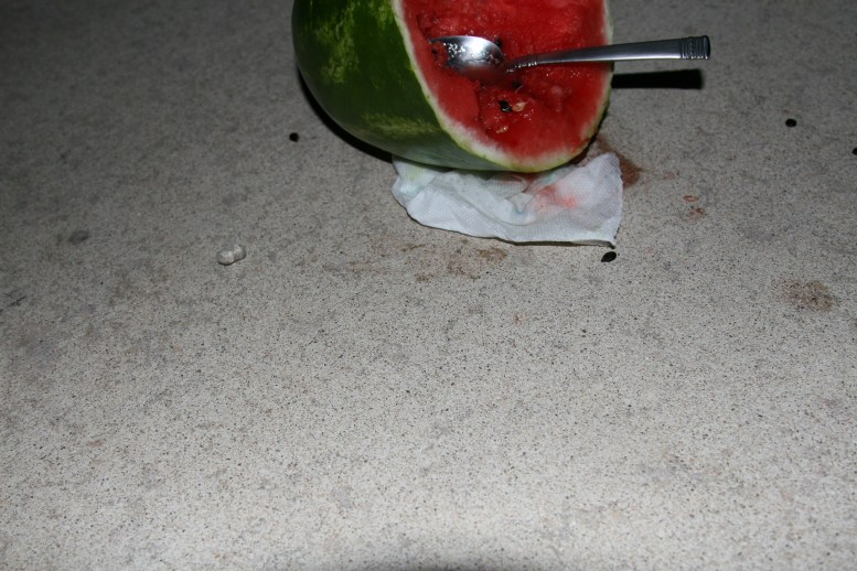 Summer Nights in Texas www.bluemesablog.com