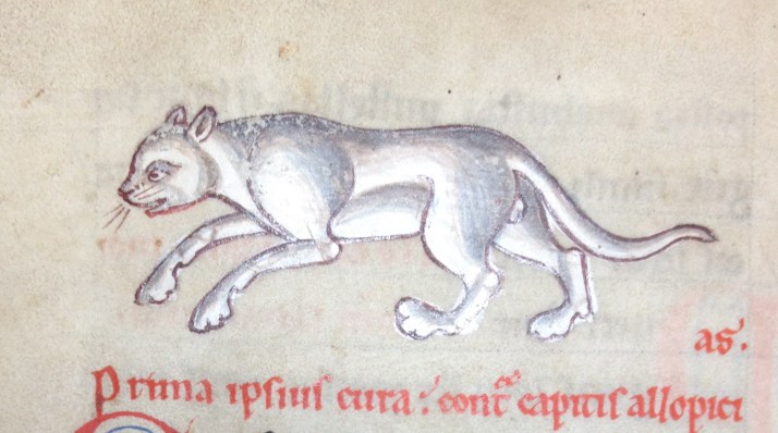 Flora and Fauna in Medieval Medical Manuscripts, Oxford www.bluemesablog.com