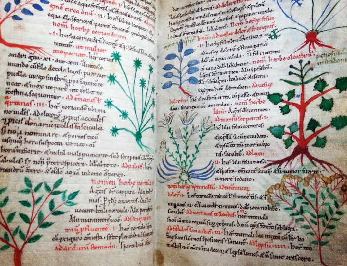 Flora and Fauna in Medieval Medical Manuscripts, Oxford www.bluemesablog.com