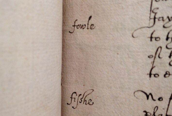 Flora and Fauna in Medieval Medical Manuscripts, Oxford www.bluemesablog.com