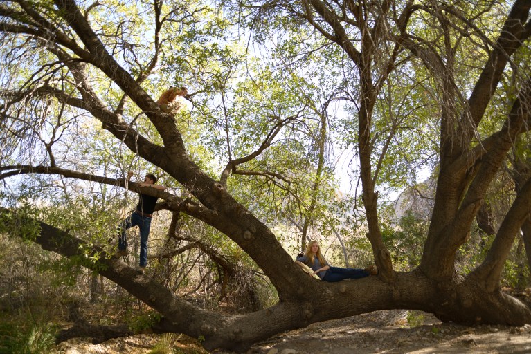 Waterfall, Big Bend National Park www.bluemesablog.com