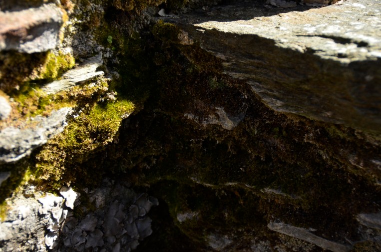 _DSC5959Kilchurn Castle, Loch Awe, Scotland www.bluemesablog.com