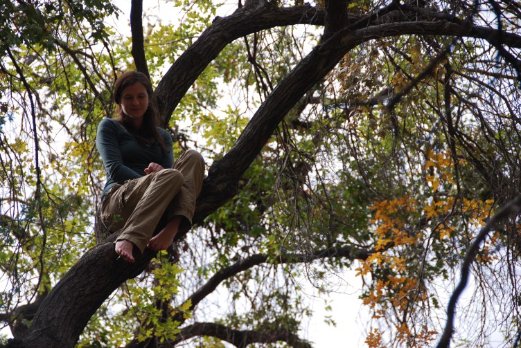 Cattail Falls waterfall, Big Bend National Park www.bluemesablog.com
