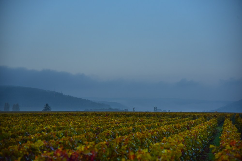 GretchenMGreerPhotography40