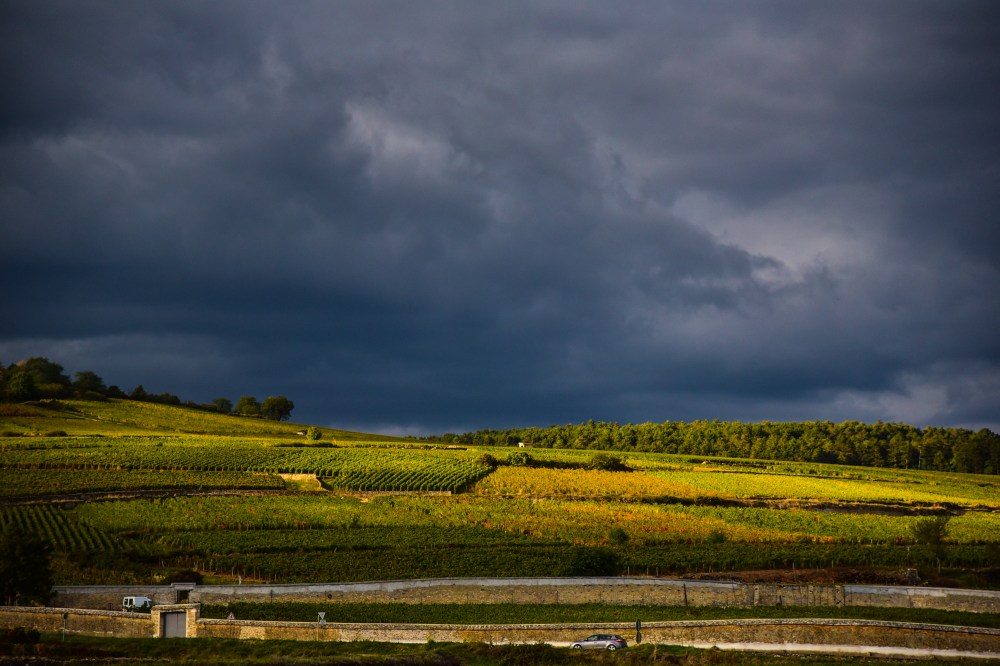 GretchenMGreerPhotography39