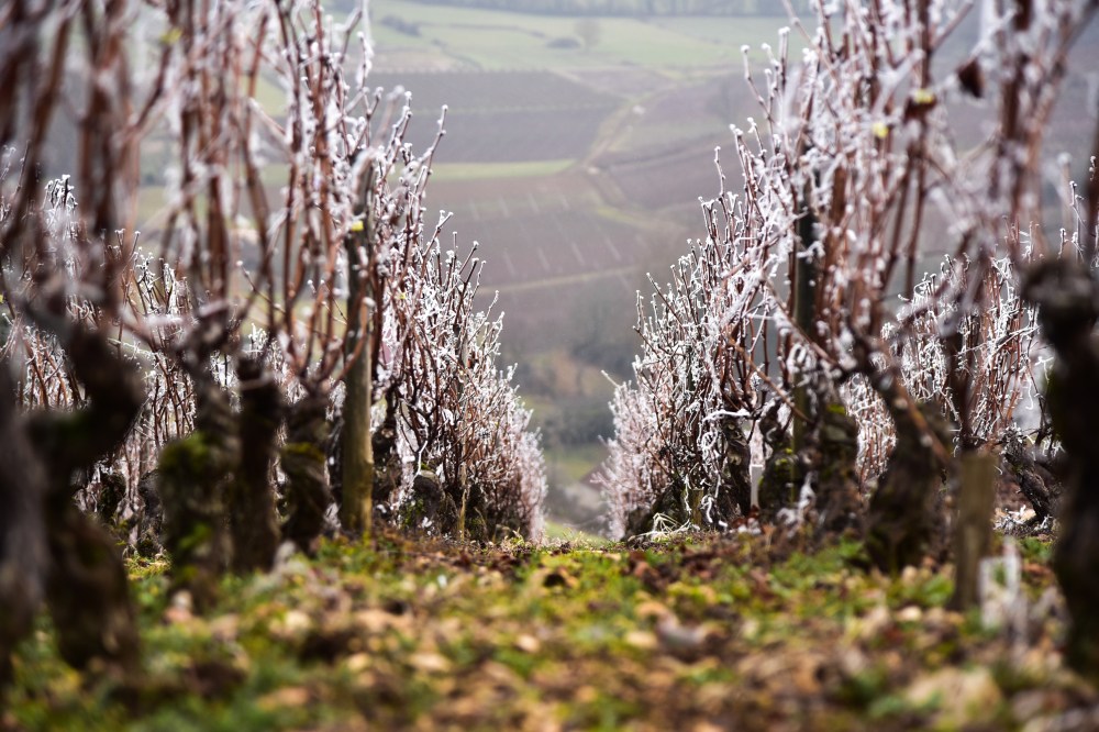 GretchenMGreerPhotography44