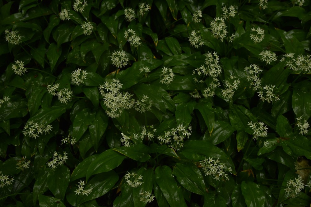 GretchenMGreerPhotography26