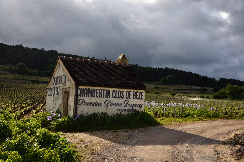 GretchenMGreerPhotography38