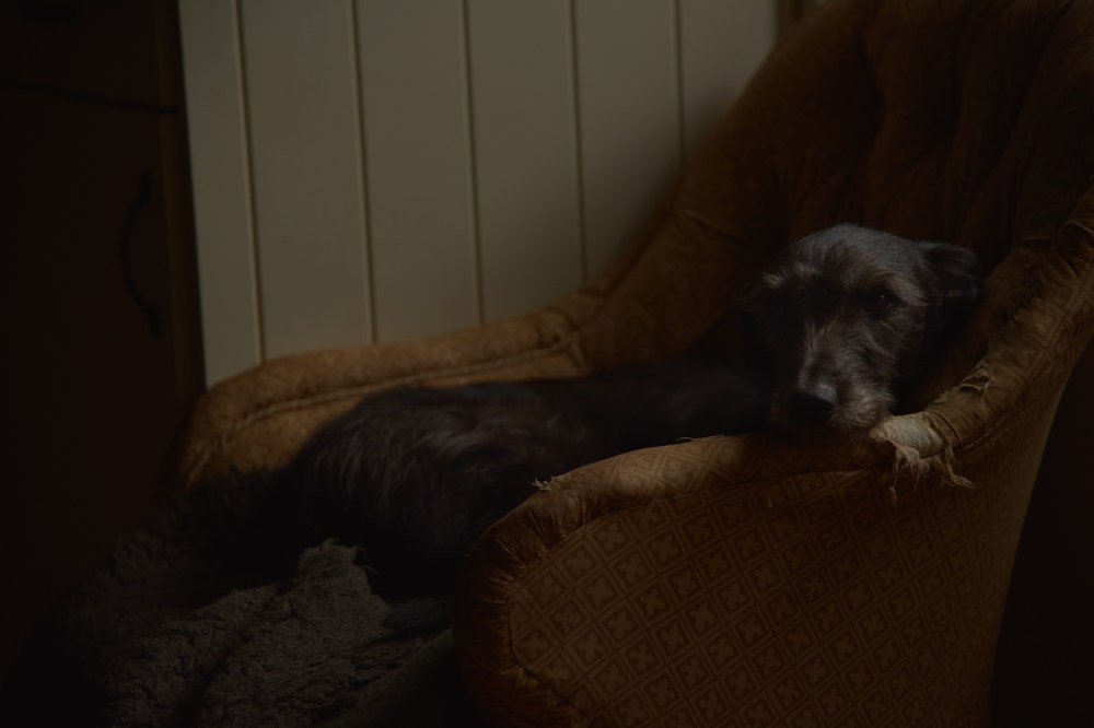 GretchenMGreerPhotography20