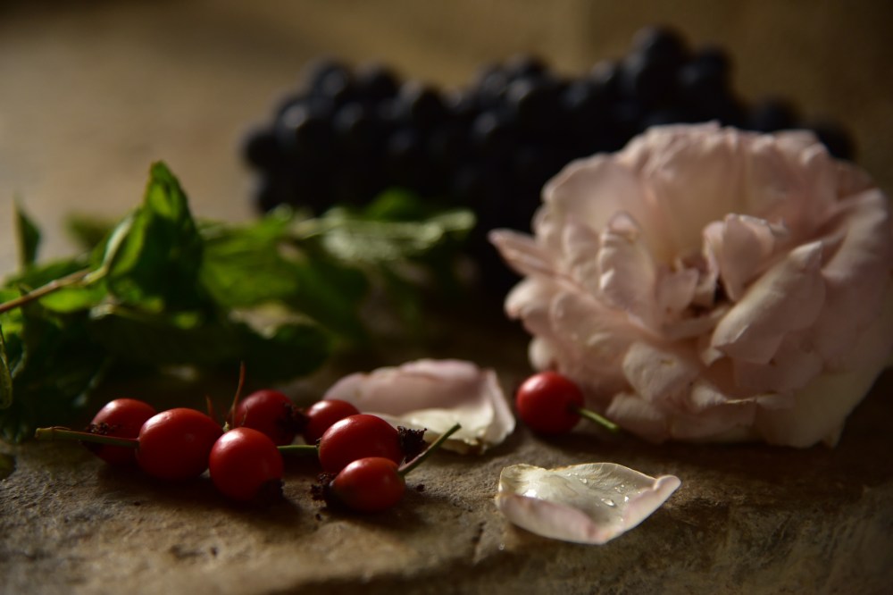 GretchenMGreerPhotography32