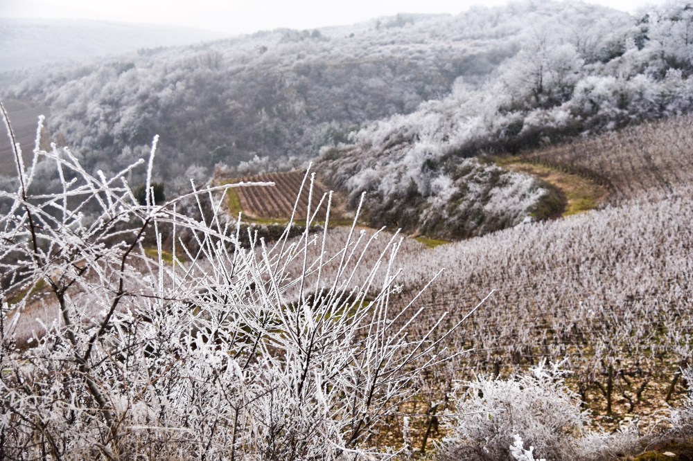 GretchenMGreerPhotography17