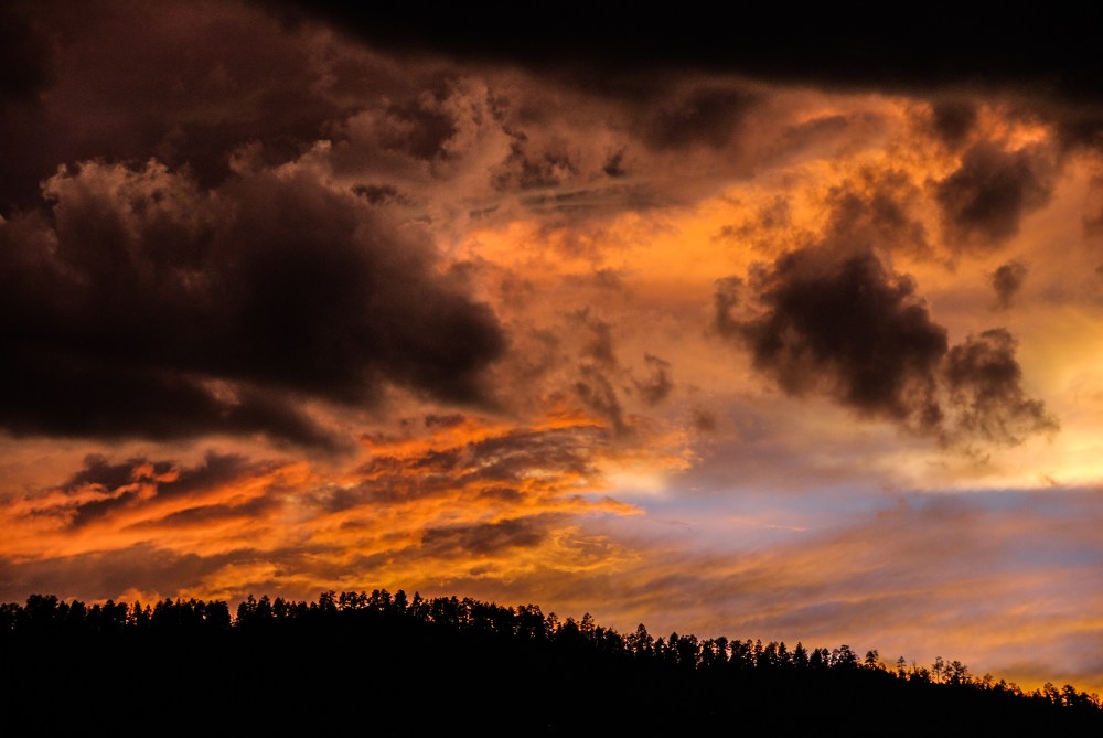 GretchenMGreerPhotography34