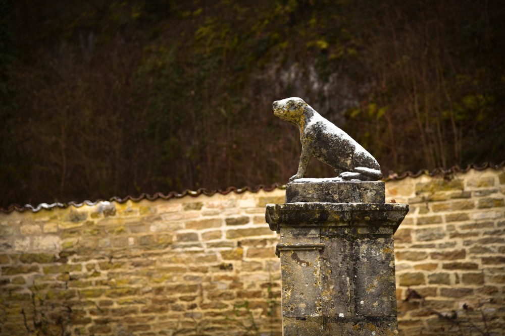 Burgundy_January2017_74