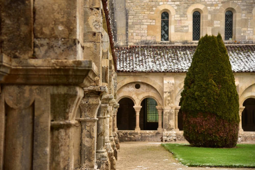 Burgundy_January2017_76